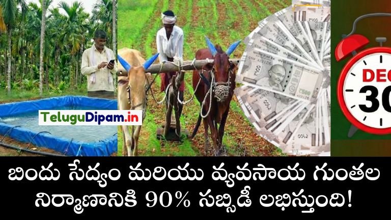 Drip Irrigation