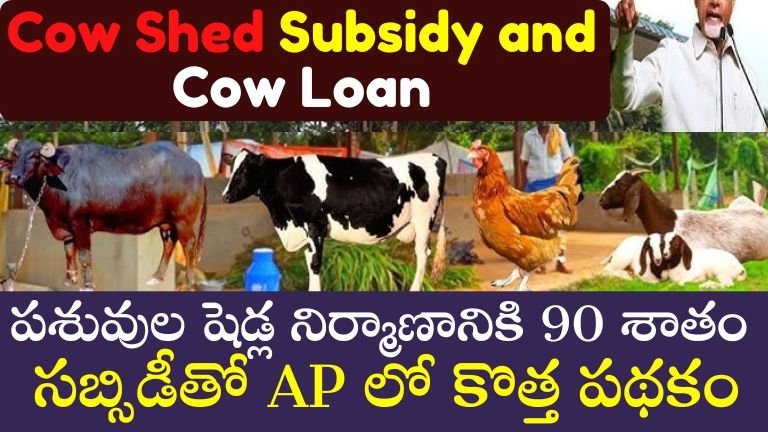 Cow Shed Subsidy and Cow Loan